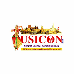 USICON Chennai logo